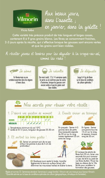 Légumes Secs - Fève d'Aguadulce à Très Longue Cosse - 20 m - MEDIA_PACKAGING_VERSO
